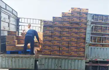 Колико контролних тачака мора да прође палачинка са резанцима Мала Танг (зачињена врућа шерпа) пре него што се утовари у камион у Шењангу?